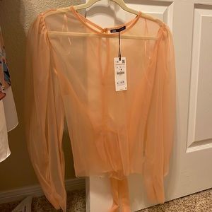 Zara Organza Top NWT